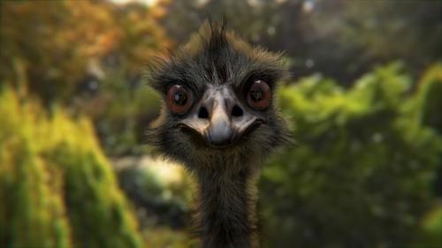Emu preview image